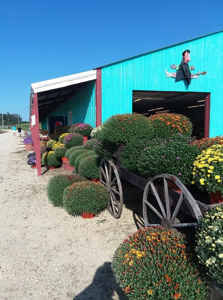 Westridge Orchard in Gays Mills, Wisconsin