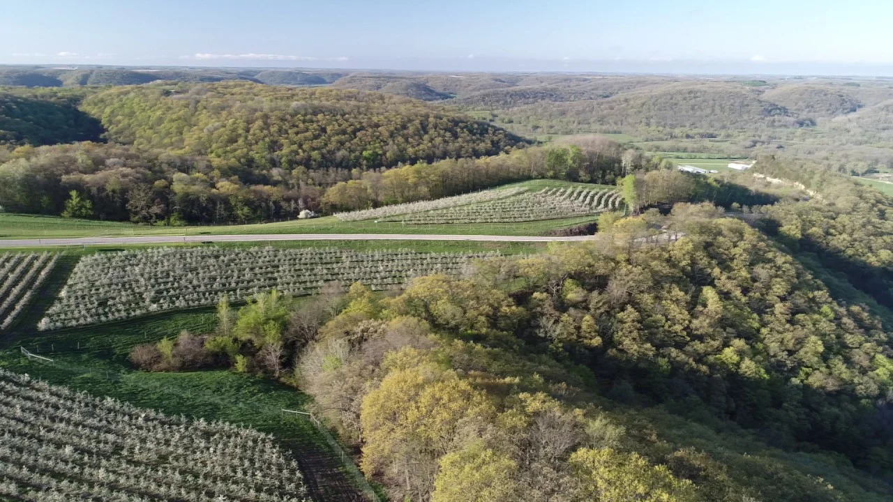 Apple Orchards of Gays Mills, Wisconsin